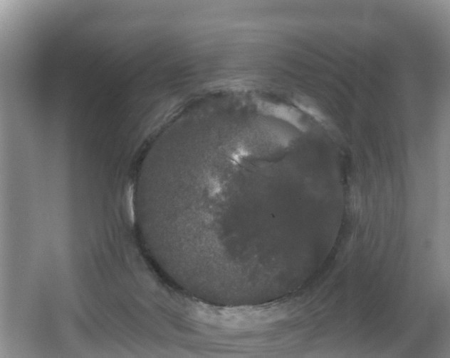 X0000064720022200602131236