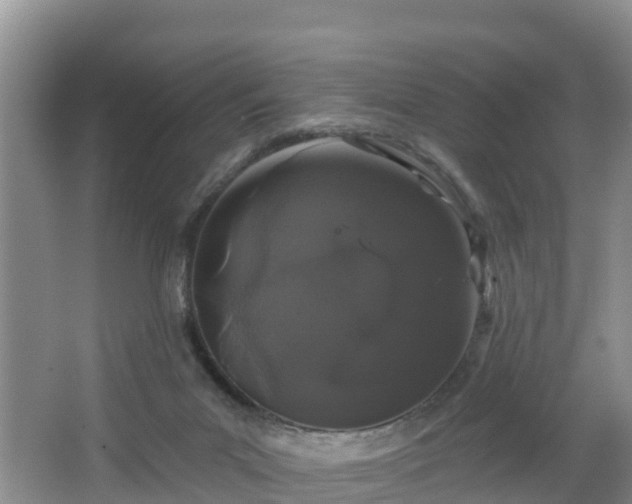 X0000064720023200602131236