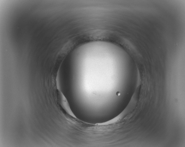 X0000064720025200602131236