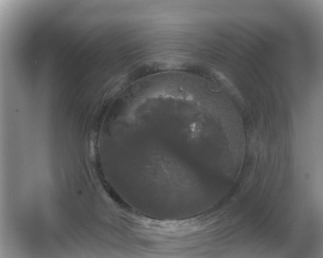 X0000064720026200602131236