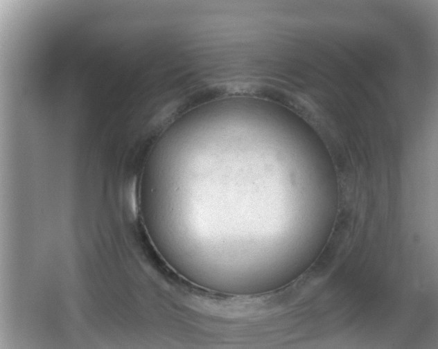 X0000064720028200602131236