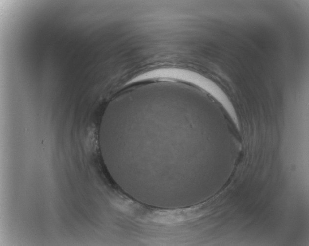 X0000064720029200602131236