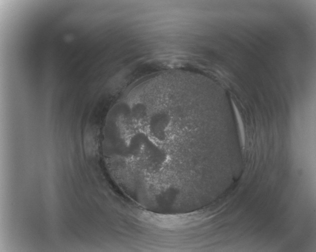 X0000064720030200602131236