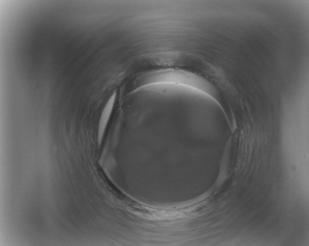 X0000064720031200602131236