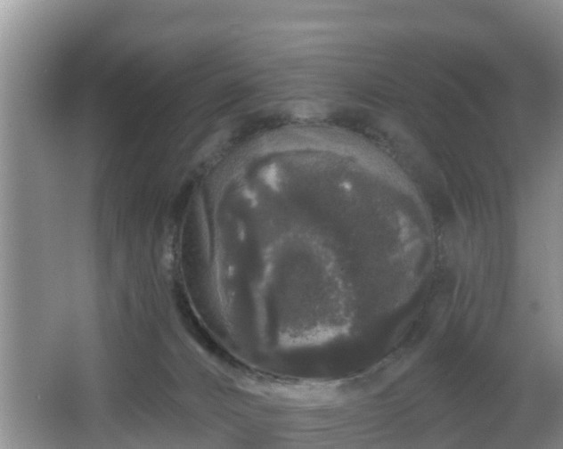 X0000064720032200602131236