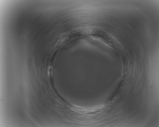 X0000064720035200602131236