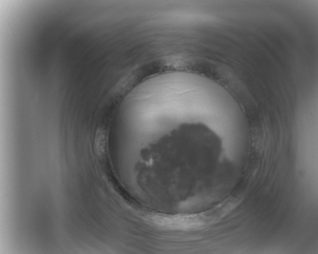 X0000064720036200602131236