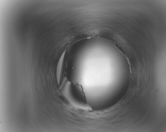 X0000064720037200602131236