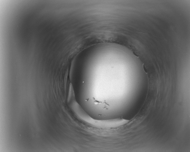 X0000064720040200602131236