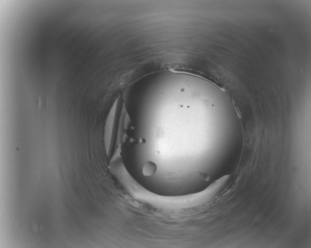 X0000064720041200602131236