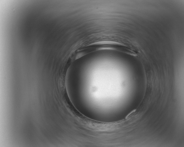 X0000064720044200602131235