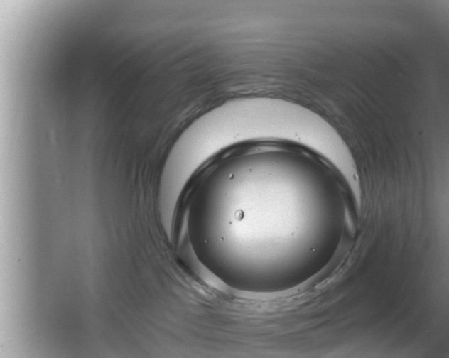 X0000064720045200602131235