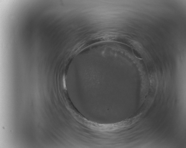 X0000064720046200602131235