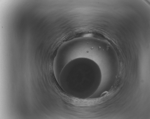 X0000064720048200602131235