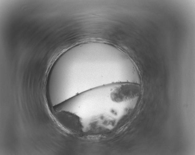 X0000064720049200602131235