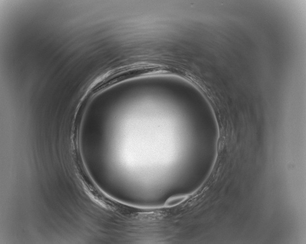 X0000064720050200602131235