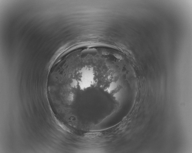 X0000064720051200602131235