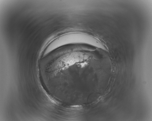 X0000064720053200602131235