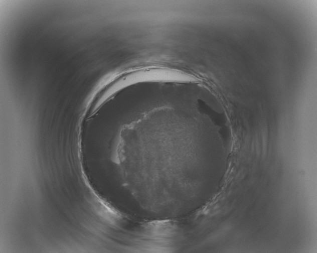 X0000064720054200602131235