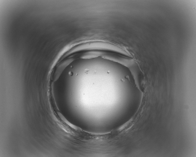 X0000064720056200602131235