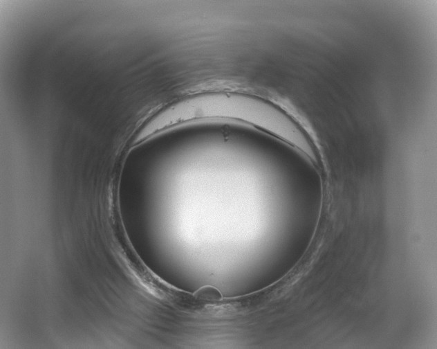 X0000064720057200602131235