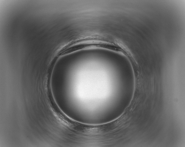 X0000064720058200602131235