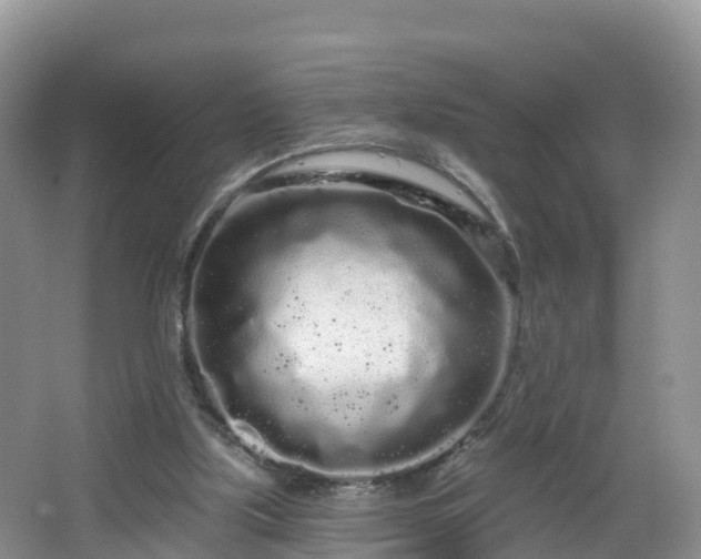 X0000064720059200602131235