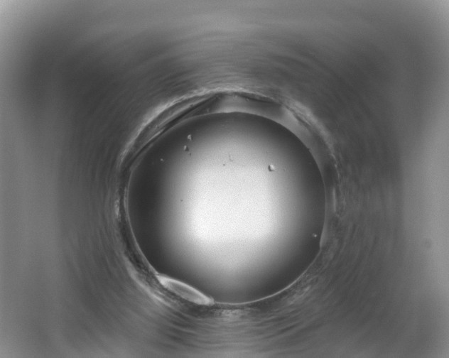 X0000064720060200602131235