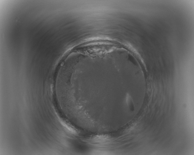 X0000064720063200602131235