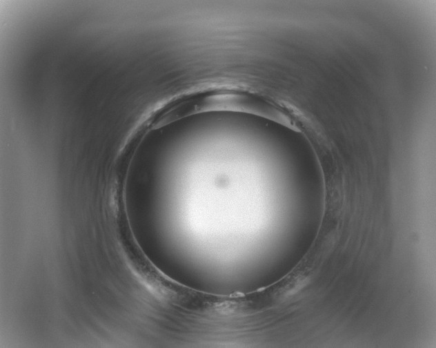 X0000064720064200602131235