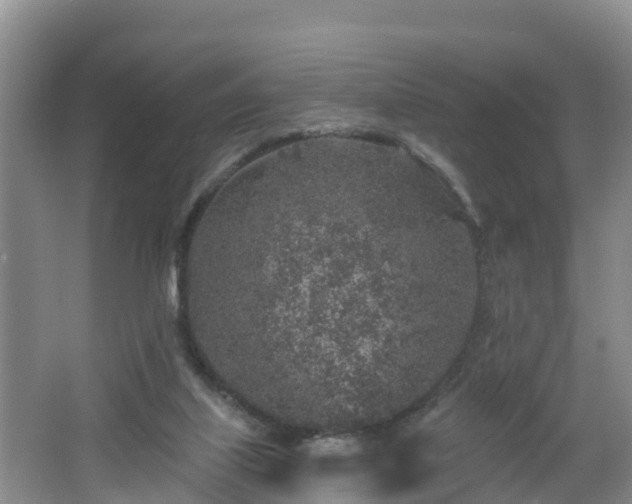 X0000064720067200602131235