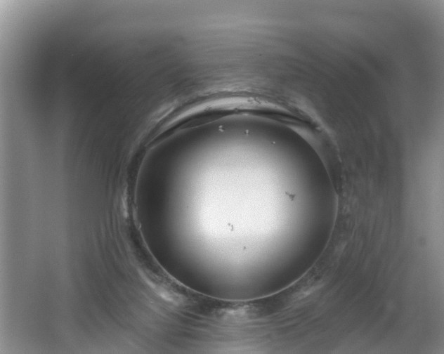 X0000064720068200602131235