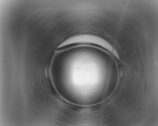 X0000064720075200602131235