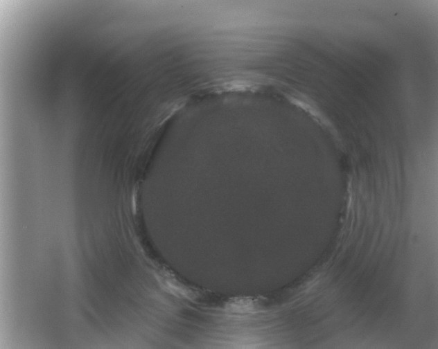 X0000064720076200602131235