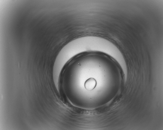 X0000064720077200602131235