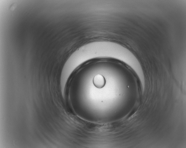 X0000064720078200602131235