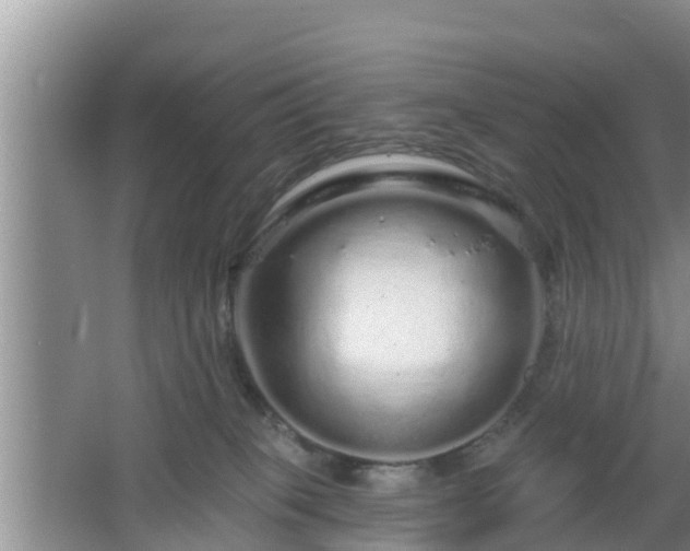 X0000064720085200602131235