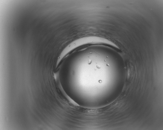 X0000064720088200602131235