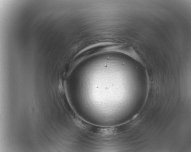 X0000064720089200602131235