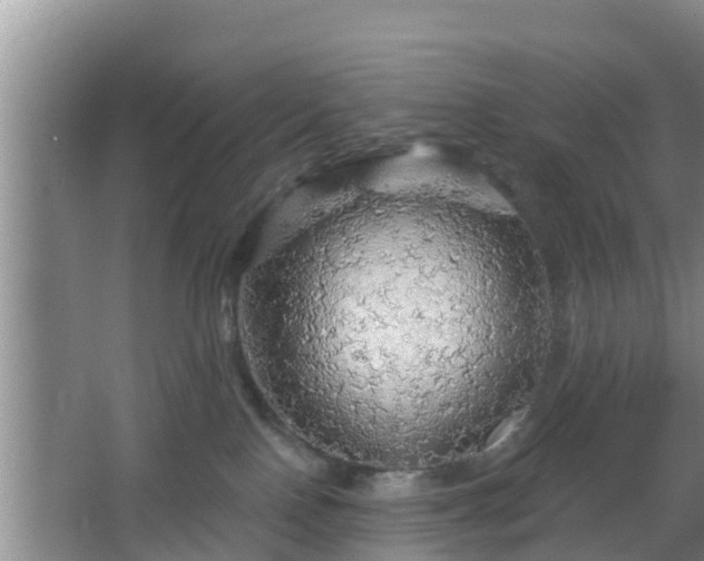 X0000064720090200602131235