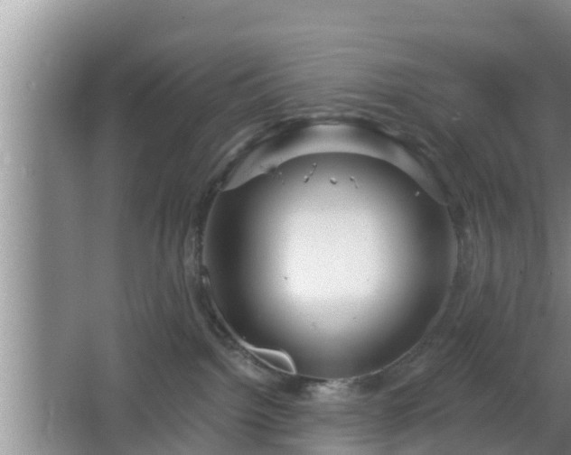 X0000064720092200602131235