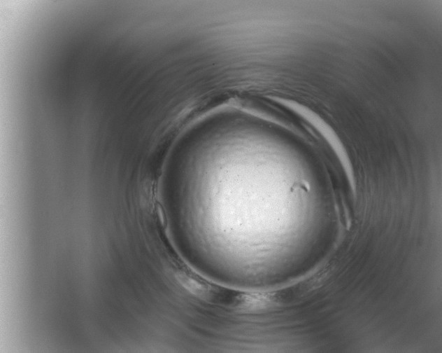 X0000064720093200602131235