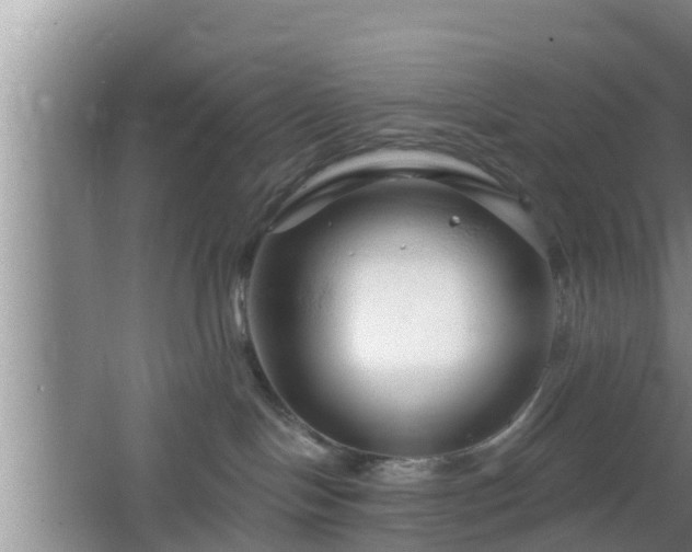 X0000064720094200602131235