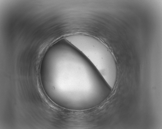 X0000064720097200602131235