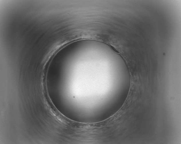 X0000064720098200602131235