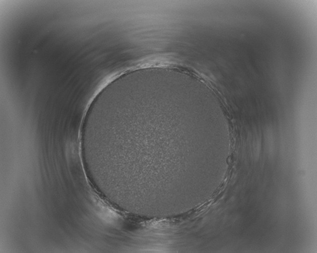 X0000064720100200602131235