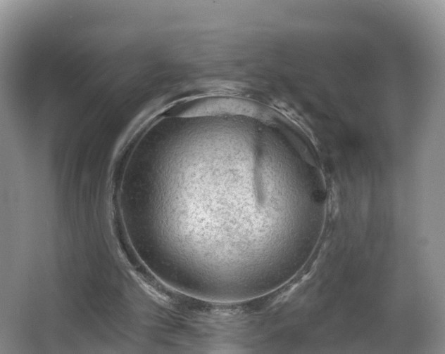 X0000064720101200602131235