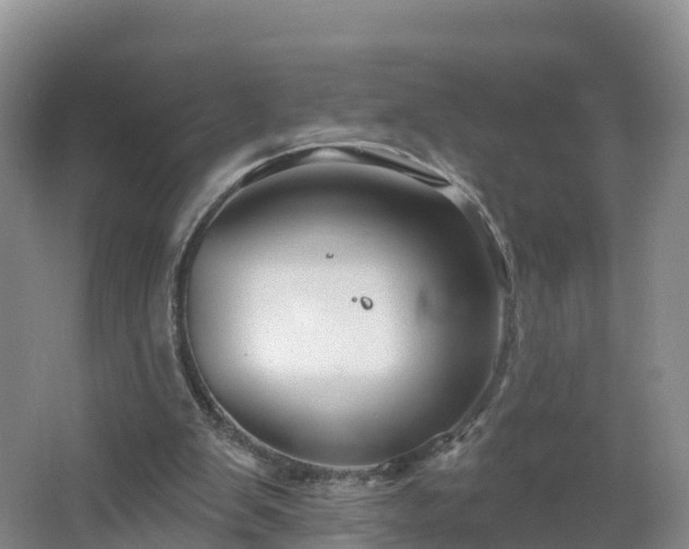 X0000064720103200602131234