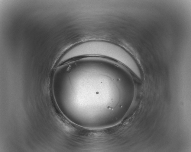 X0000064720107200602131234