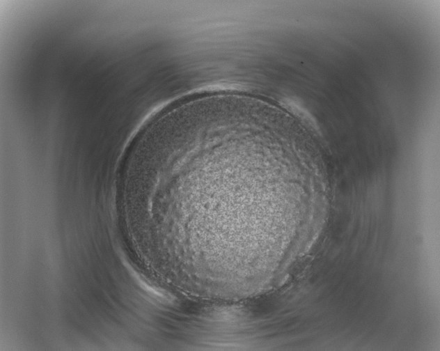 X0000064720108200602131234